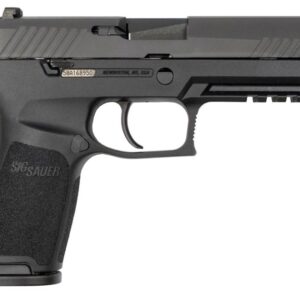 Sig Sauer P320 40 S&W Full-Size Centerfire Pistol with Night Sights