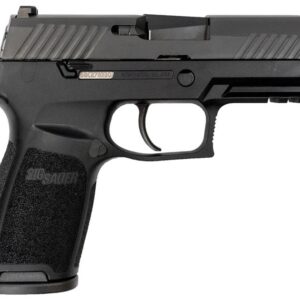 Sig Sauer P320 Carry .45 ACP Centerfire Pistol with Night Sights