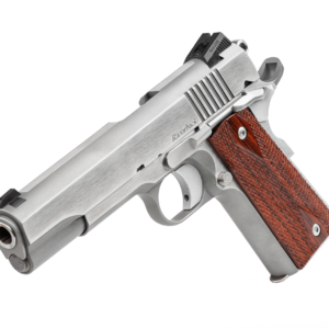 Dan Wesson Razorback 10mm Pistol