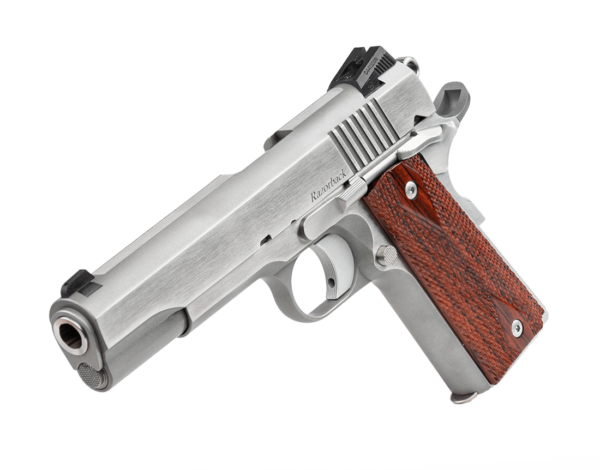 Dan Wesson Razorback 10mm Pistol