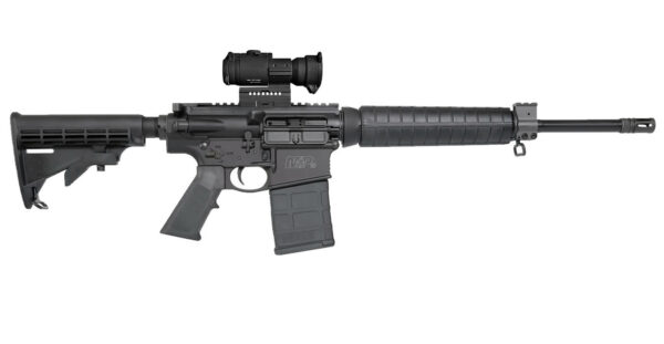 Smith & Wesson M&P10 Sport 308 Win Semi-Automatic Rifle with Aimpoint PRO Patrol Optic