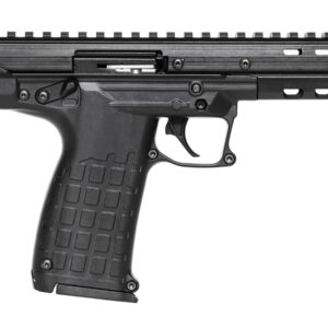 Kel-Tec CP33 22LR Pistol with Two 33-Round Magazines