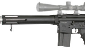Armalite AR10 Rifle 10TBNF260, 260 Remington, 22 in, A2 Buttstock, Black/Stainless Finish
